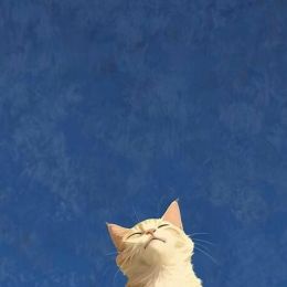 LongPort - 水天异色