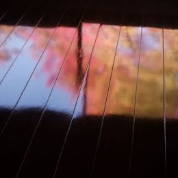 LongPort - 苹果岁岁