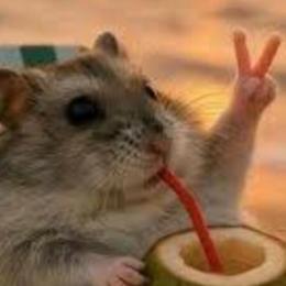 LongPort - 与价值同行