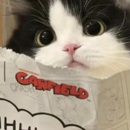 LongPort - the ai is smart