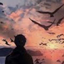 LongPort - Aesthetic·空镜