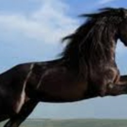 LongPort - 盘中不说话