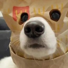 LongPort - 最难忘的物件