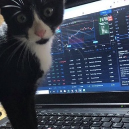 LongPort - 二级市场流浪者