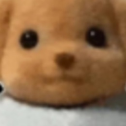 LongPort - 韭菜觉醒版