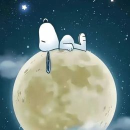 LongPort - 好运常在