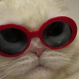 LongPort - 复利进行时