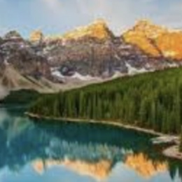 LongPort - 等风来的人