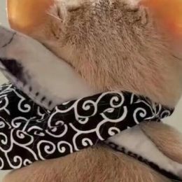 LongPort - 股噜噜噜