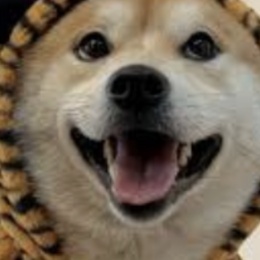 LongPort - 涨跌皆从容