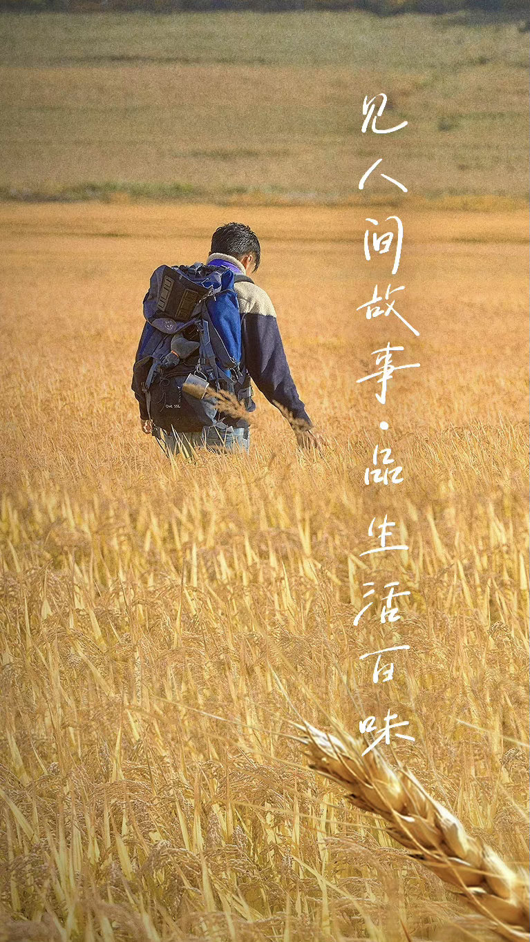 图片 1，共 1 张