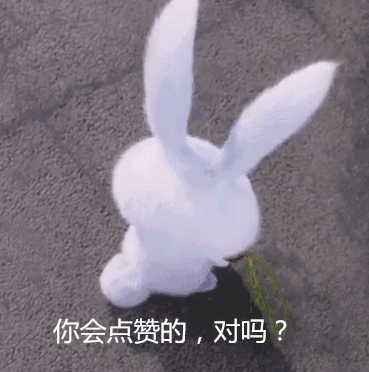 图片 2,共 2 张