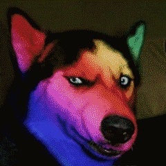 LongPort - 王已行