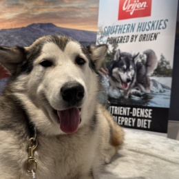 LongPort - YanceyLeo