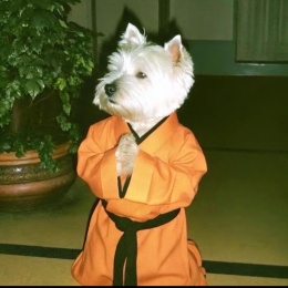 LongPort - 不要每天浇花