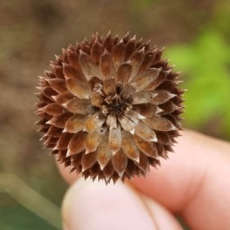 LongPort - 苏西坡的邻居