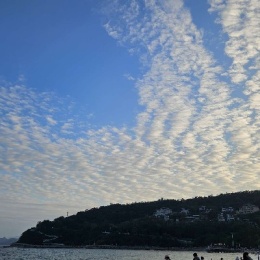 LongPort - 开盘半小时内管住手