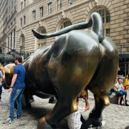 LongPort - Stella425