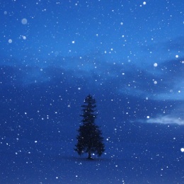 LongPort - Amymini520