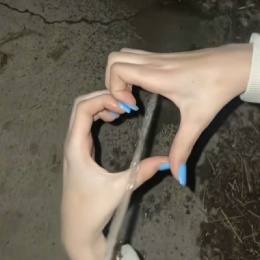 LongPort - 龟龟满地跑