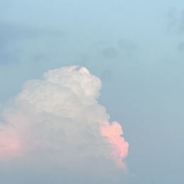 LongPort - Alanc1103