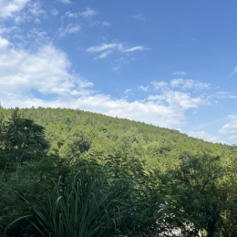 LongPort - 打工补仓