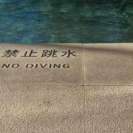 Longbridge - 加油可达鸭