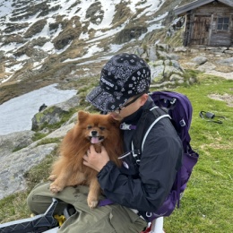 Longbridge - Tommyzhu