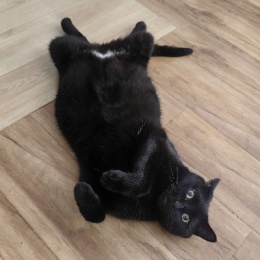 LongPort - 新用户_7P6bL6