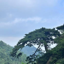 LongPort - 金恒瑞