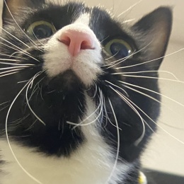 LongPort - TakingavitaminD