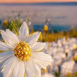 LongPort - 至至至至至