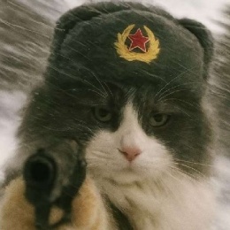 LongPort - 来了来了起飞