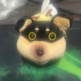 LongPort - 当然是凌小东