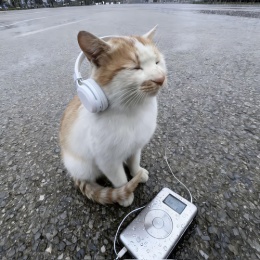 LongPort - 大肥猫