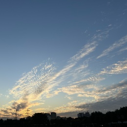 Longbridge - odindzj