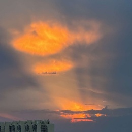 LongPort - 一脉相承