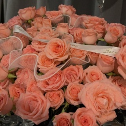 LongPort - 五爷来了！