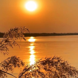 LongPort - 信仰小哥哥