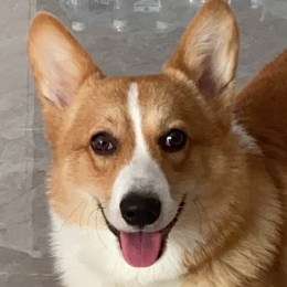 LongPort - 韭太郎