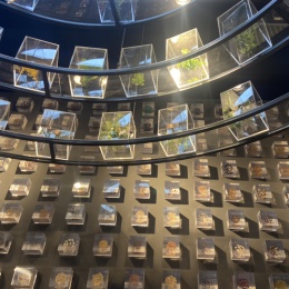 LongPort - 锡鑫 SML