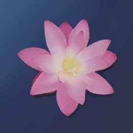 LongPort - anon_dwbh