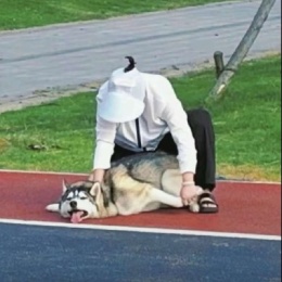 LongPort - 搬砖的小韭菜