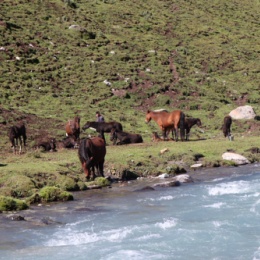 LongPort - 上厕所不玩手机