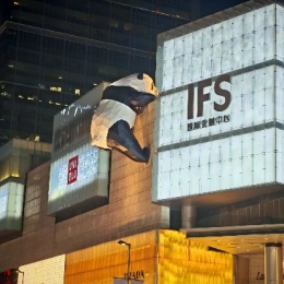 LongPort - 好心人能不能帮帮我