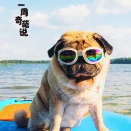 LongPort - 尚城生活