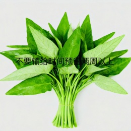 Longbridge - T之T神