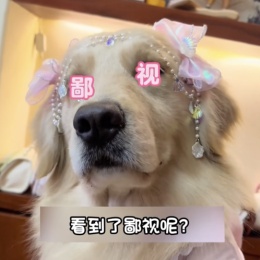 LongPort - 渣渣婷再玩熊证是狗