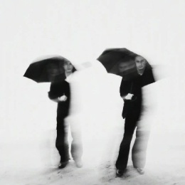 LongPort - 莫愁大丽花