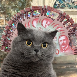 LongPort - Trader Jio